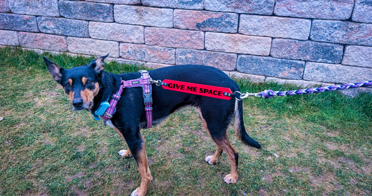 LettingYouKnow® – Leinen-Hinweisband