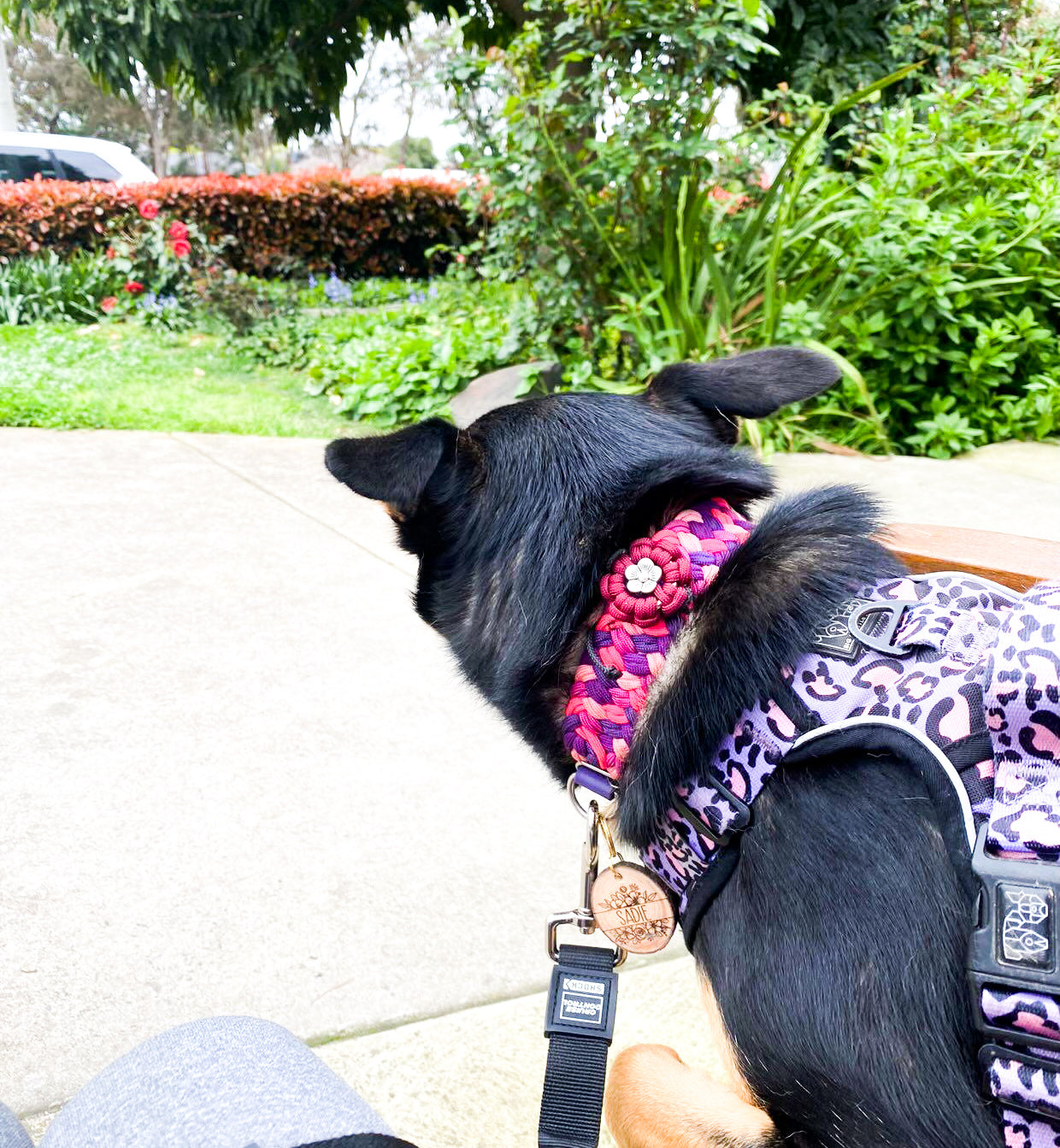 Collar Flower Charm Kim & Milly's Cords 4 Paws Paracord Handmade Dog Accessories Customizable Made in Germany Shipping worldwide
