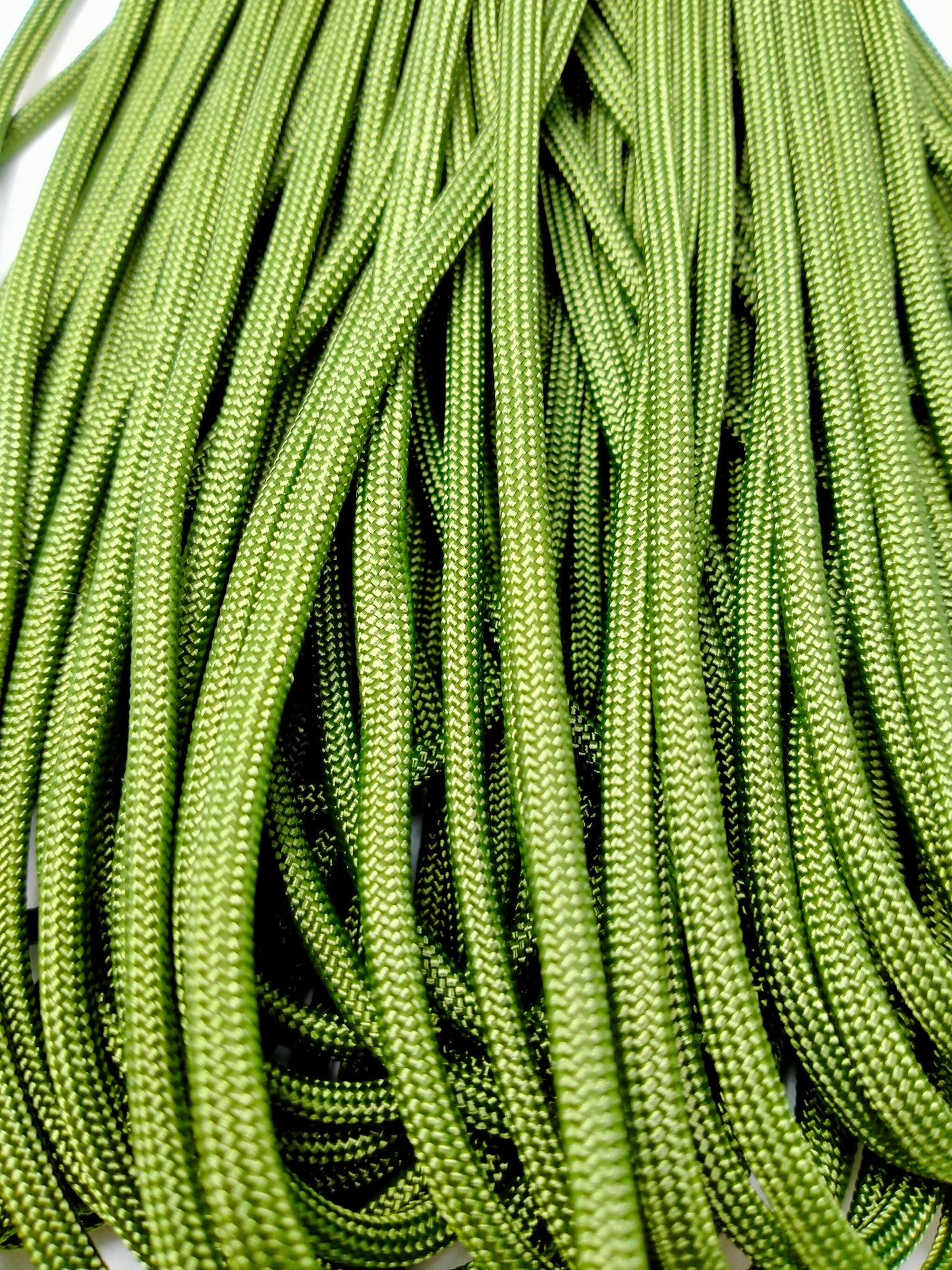 Paracord 4mm Fern Kim & Milly's Cords 4 Paws Paracord Handmade Dog Accessories Customizable Made in Germany Shipping worldwide