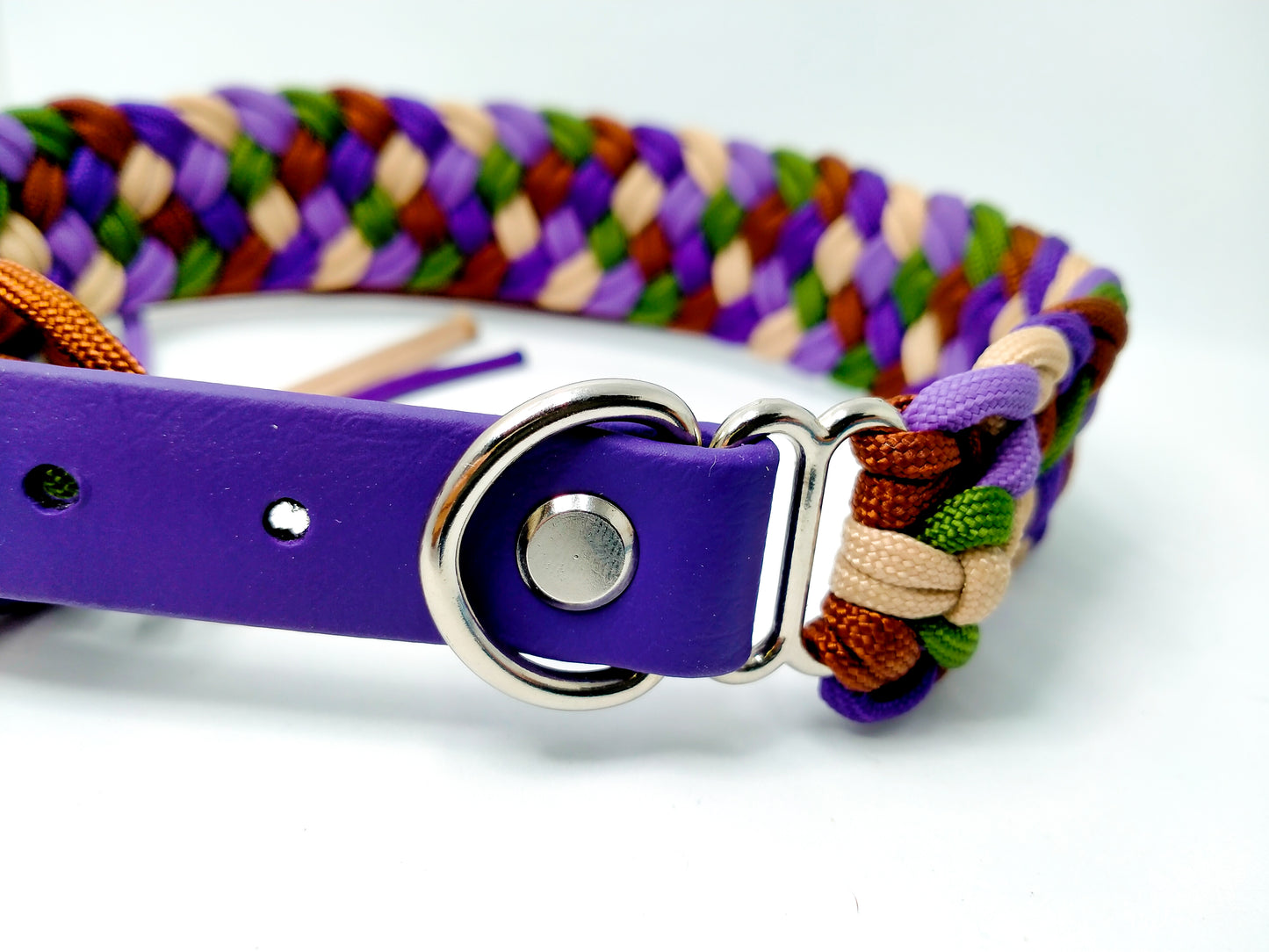 Dog Collar - Milly's Rainbow cords4paws Paracord Handmade Dog Accessories Customizable Made in Germany Shipping worldwide