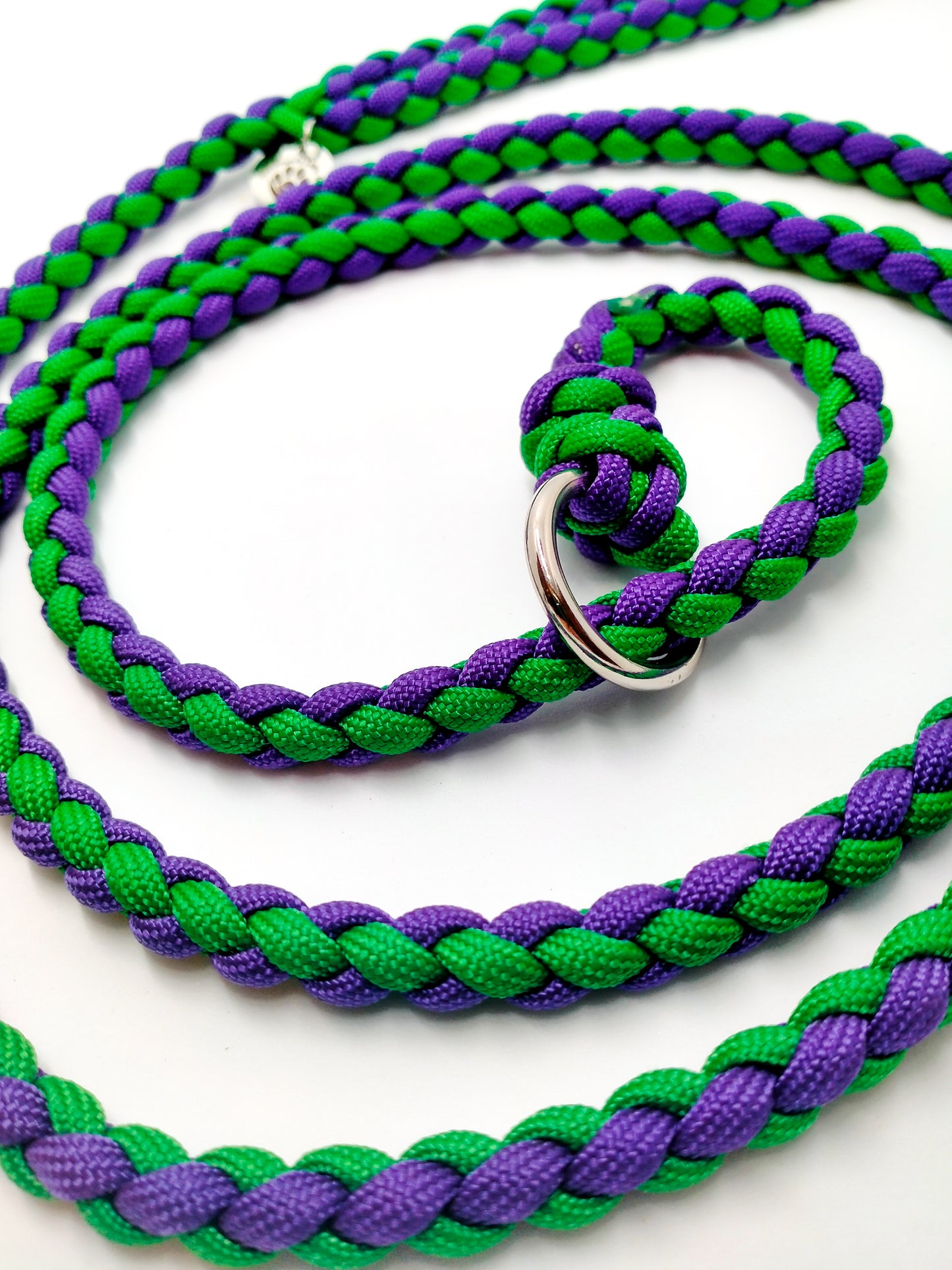 Groomer's Slip Lead - 4 Strand Round Braid cords4paws Paracord Handmade Dog Accessories Customizable Made in Germany Shipping worldwide