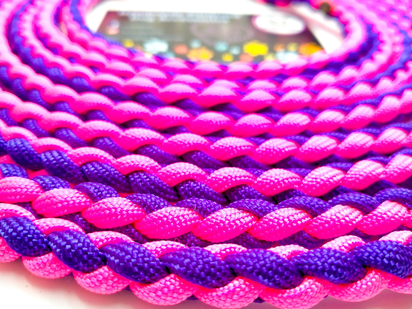 Groomer's Slip Lead - 4 Strand Round Braid cords4paws Paracord Handmade Dog Accessories Customizable Made in Germany Shipping worldwide