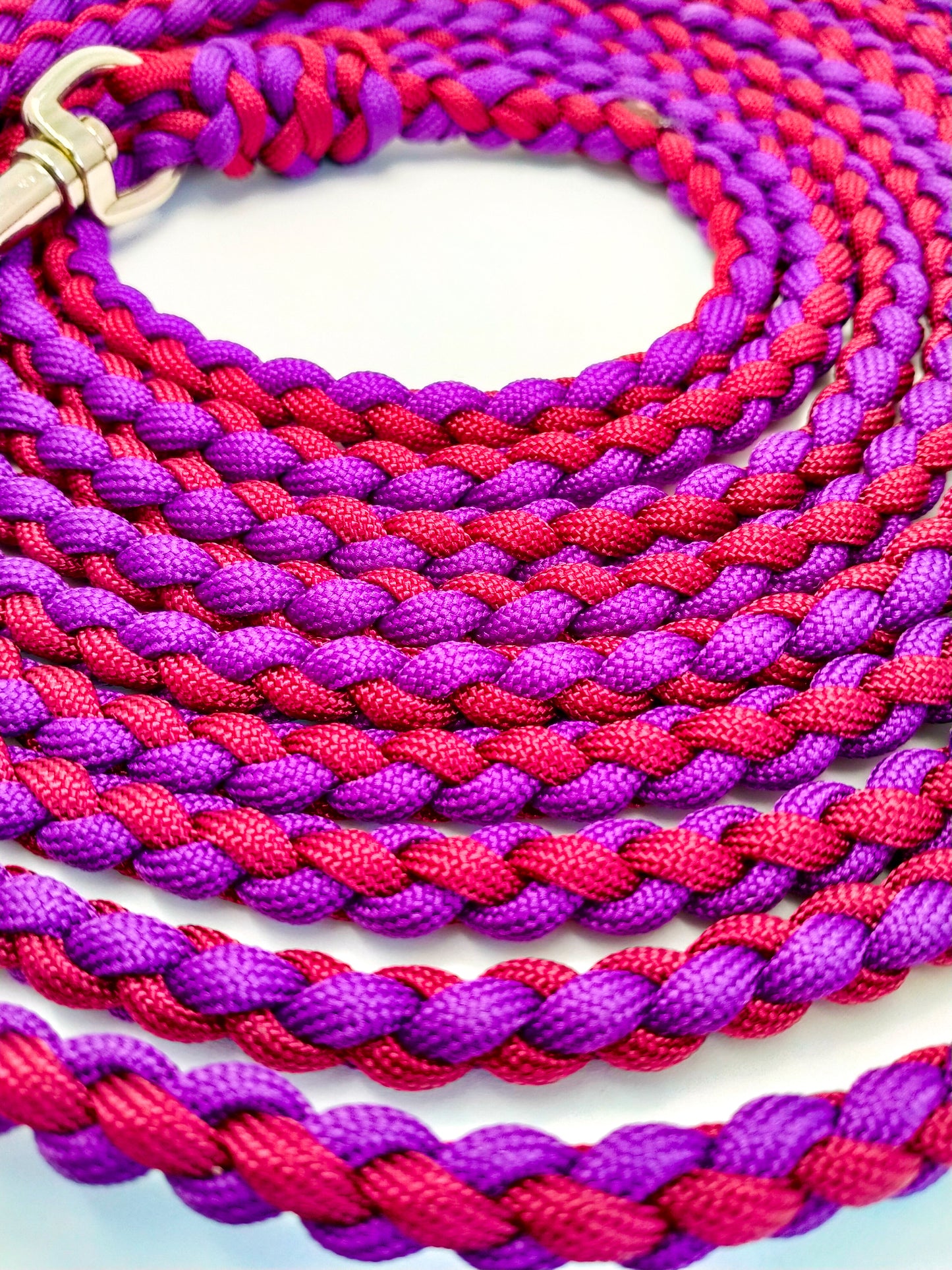 NOSEWORK Long Lead - 5m Kim & Milly's Cords 4 Paws Paracord Handmade Dog Accessories Customizable Made in Germany Shipping worldwide
