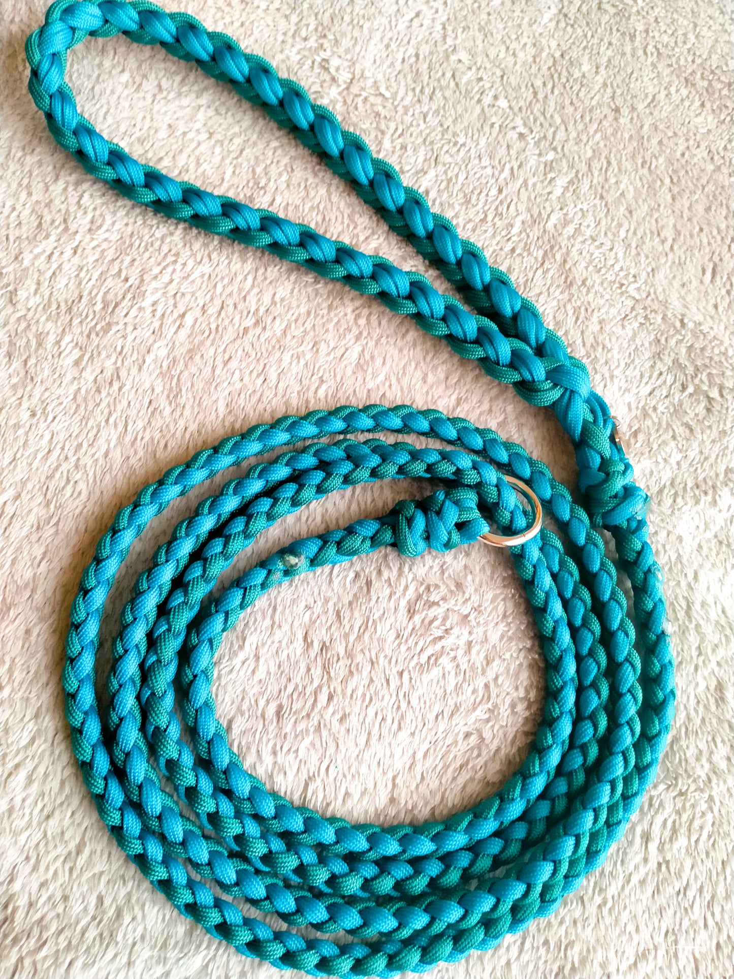 Groomer's Slip Lead - 4 Strand Round Braid cords4paws Paracord Handmade Dog Accessories Customizable Made in Germany Shipping worldwide