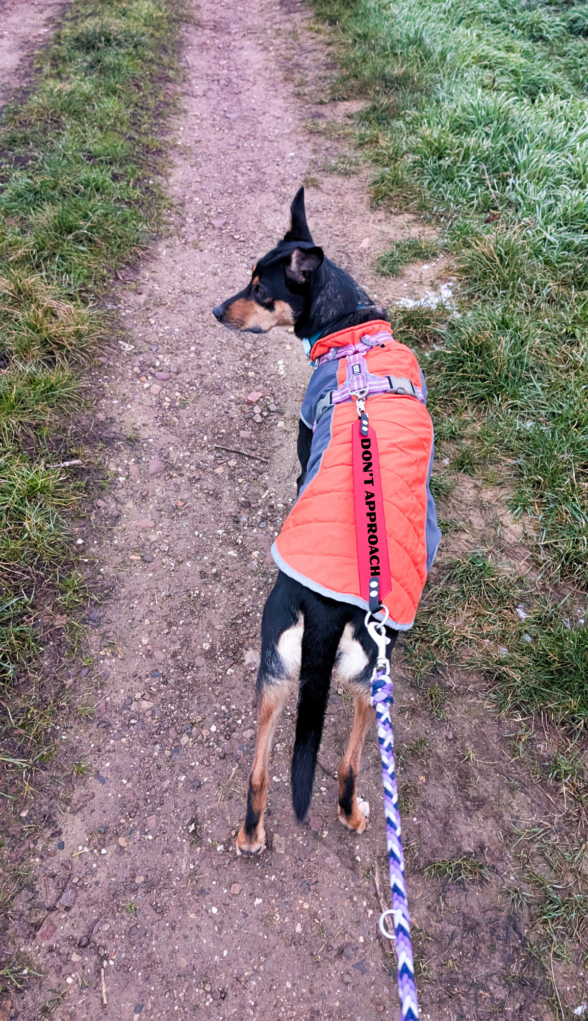 LettingYouKnow® – Leinen-Hinweisband