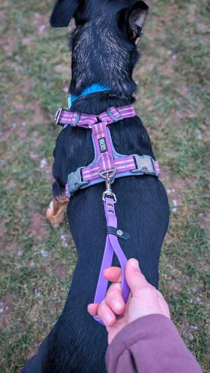 3-in-1 BioThane® Multi-Use Kurzführer & Schleppleinenhalter