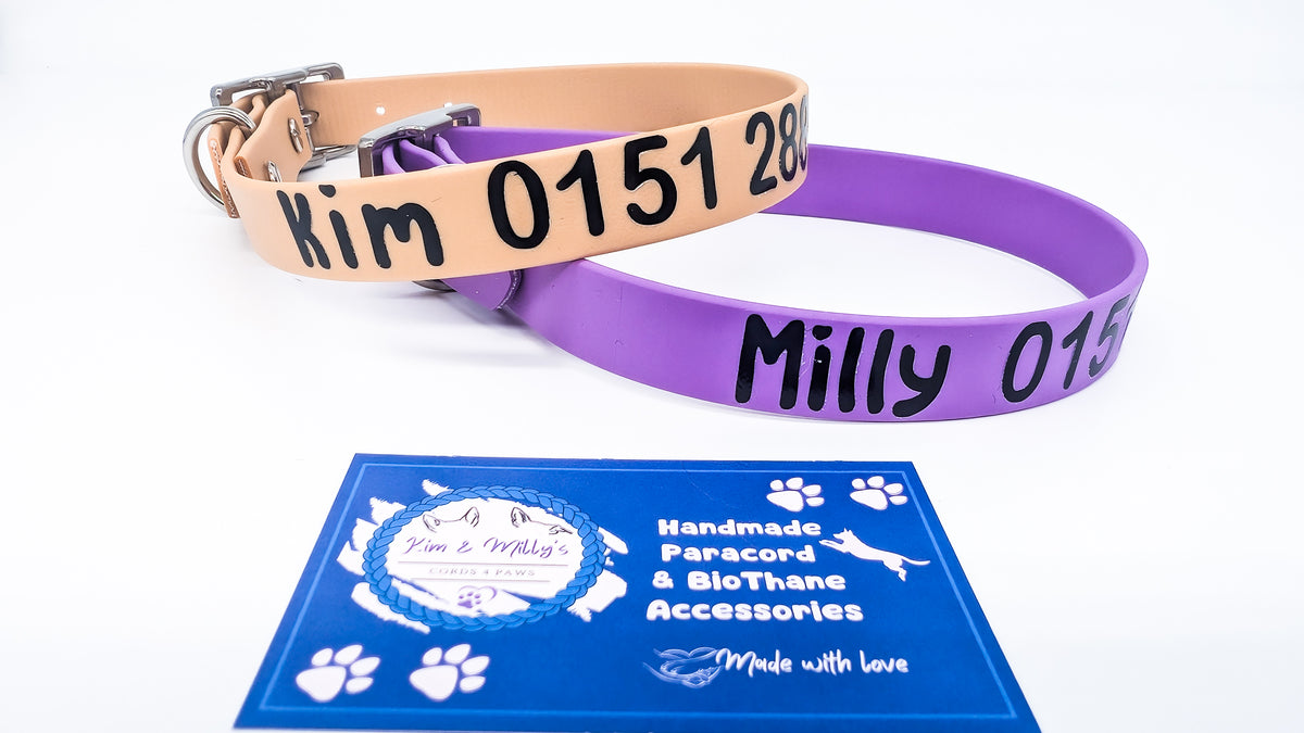 HomeSafe – personalisiertes BioThane® Halsband