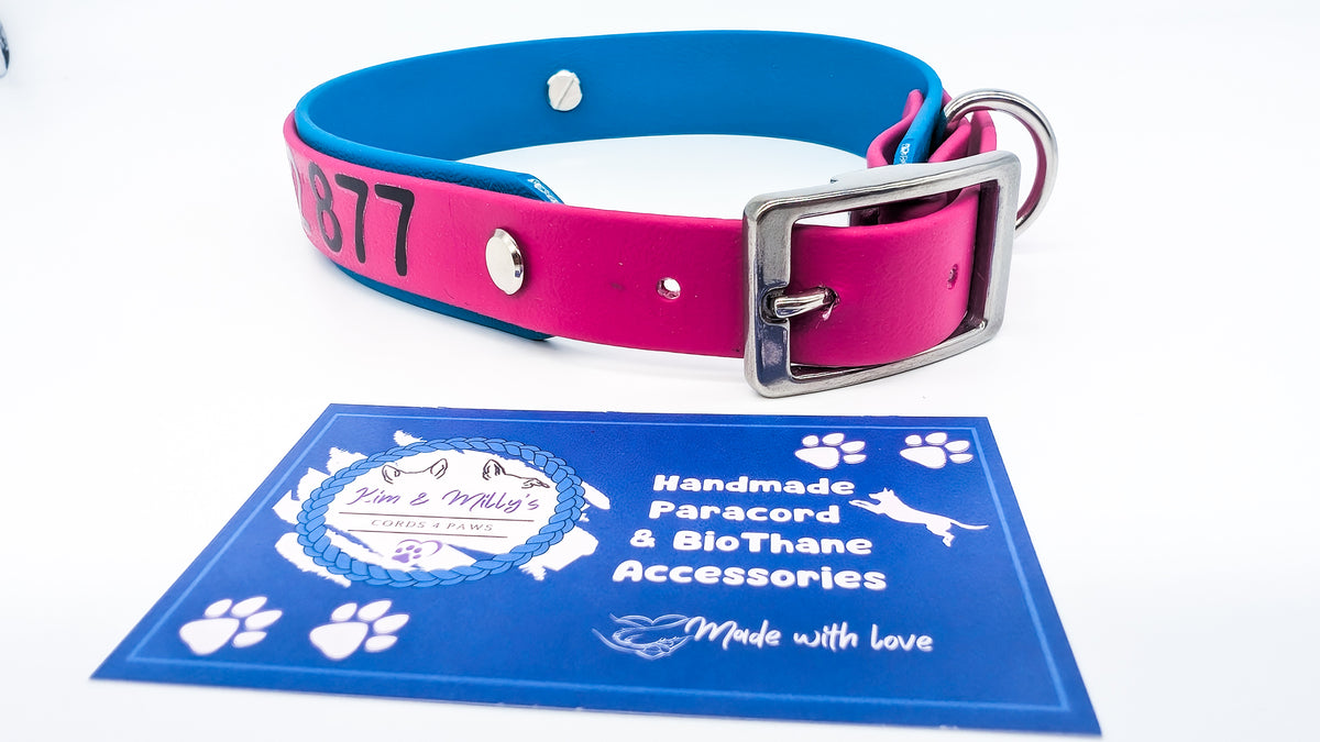 HomeSafe – personalisiertes BioThane® Halsband