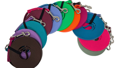Set of colorful dog leashes with a brand label on a white background