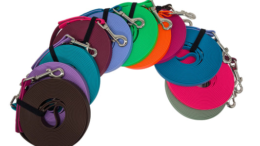 Set of colorful dog leashes with a brand label on a white background
