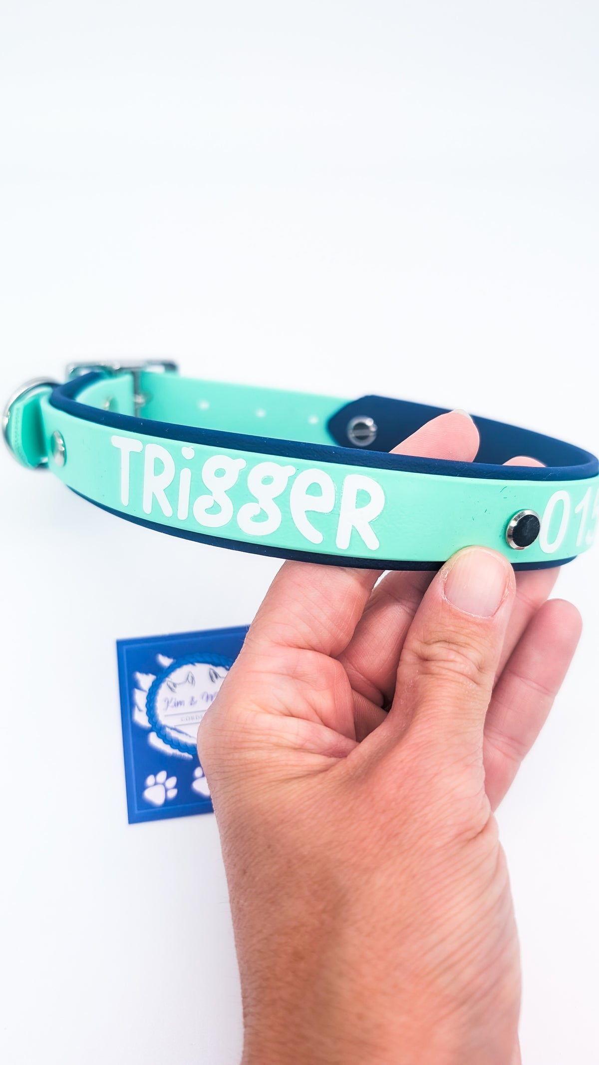HomeSafe – personalisiertes BioThane® Halsband