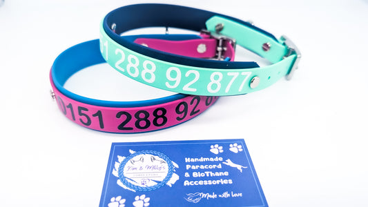 HomeSafe – personalisiertes BioThane® Halsband