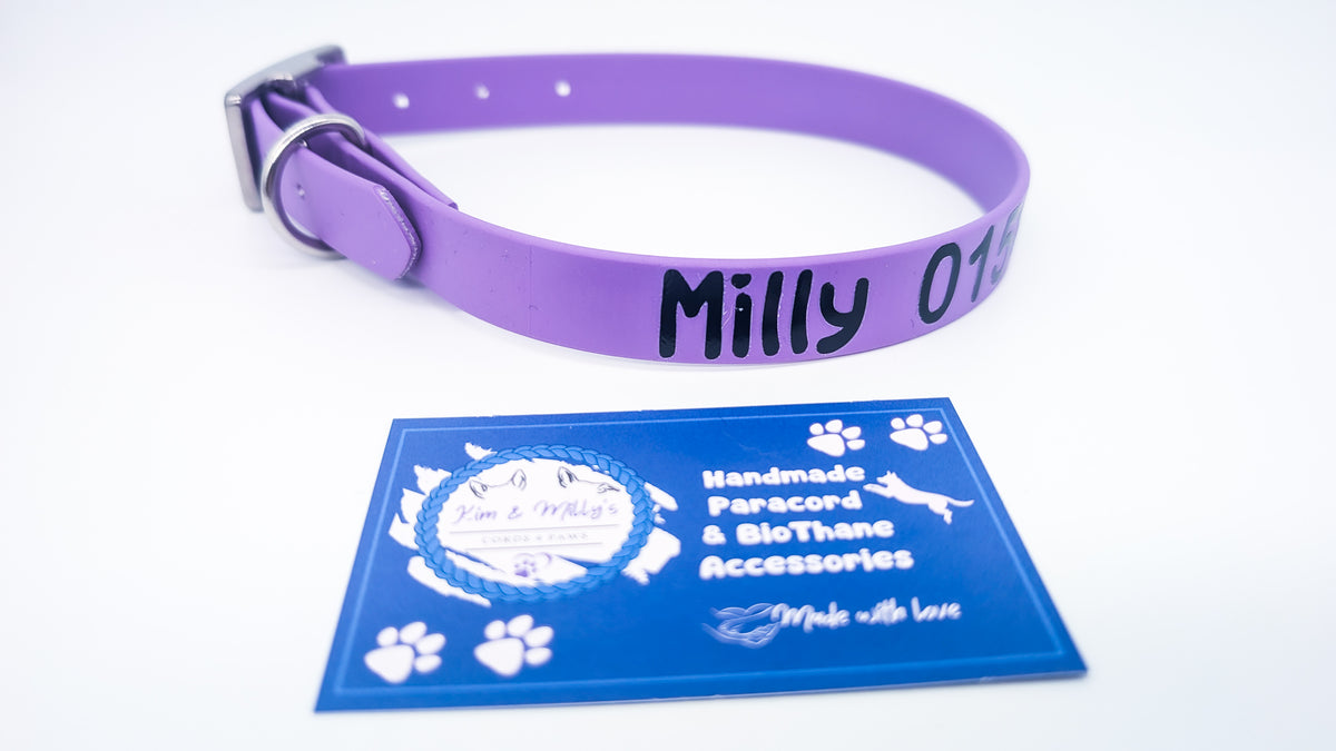 HomeSafe – personalisiertes BioThane® Halsband